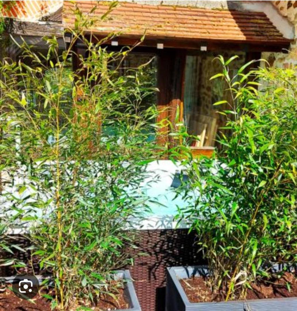 Anjouin Les 3 Roses B&B 외부 사진